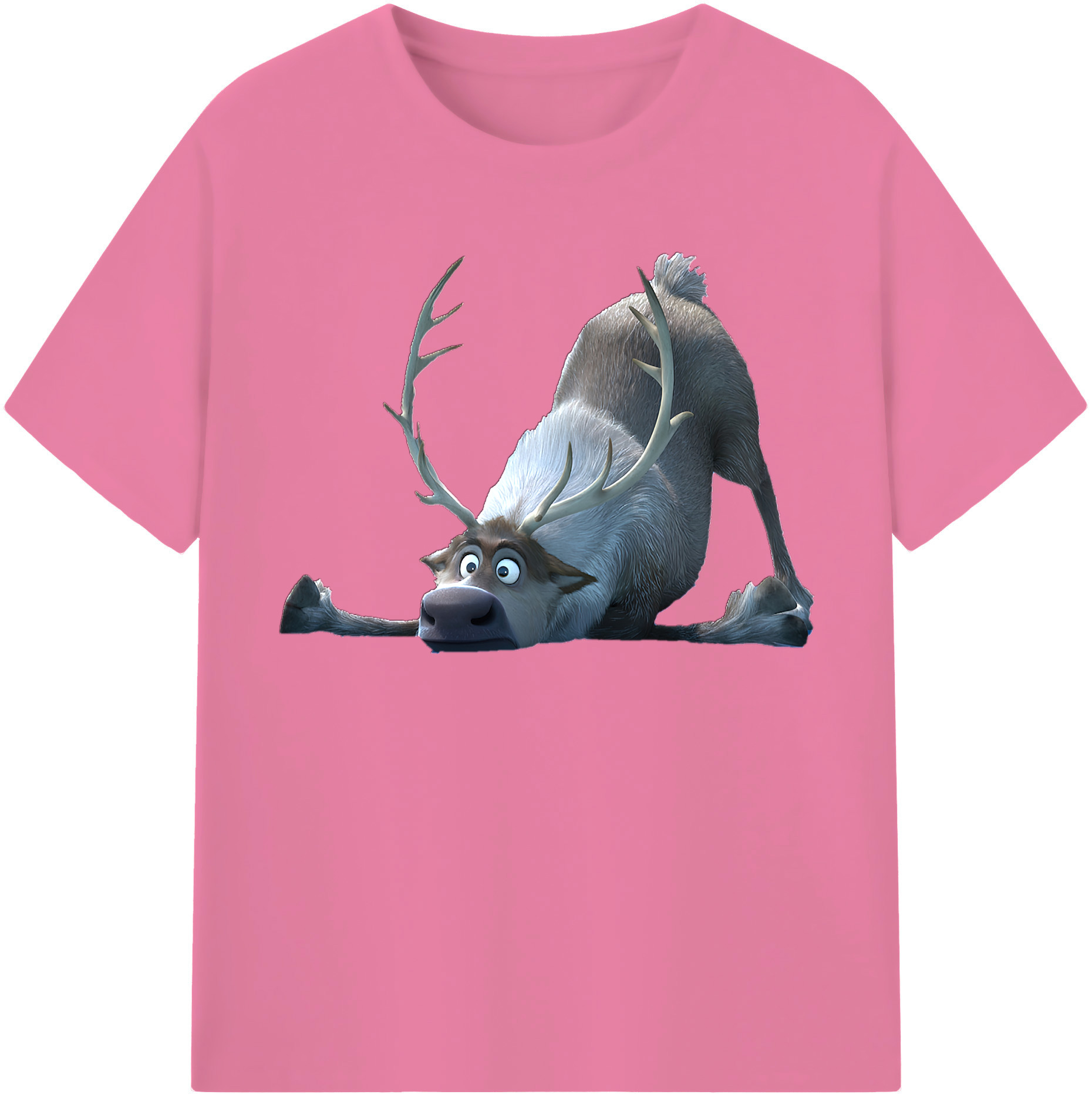 （画像用） アナと雪の女王 アンナ エルサ Frozen Anna Elsa 綿100％半袖Tシャツ（フロントプリント）